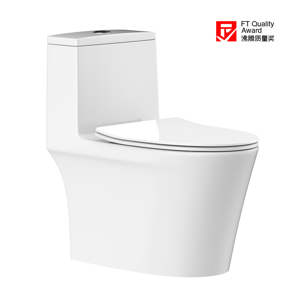 HC0905DT D5超旋风座便器